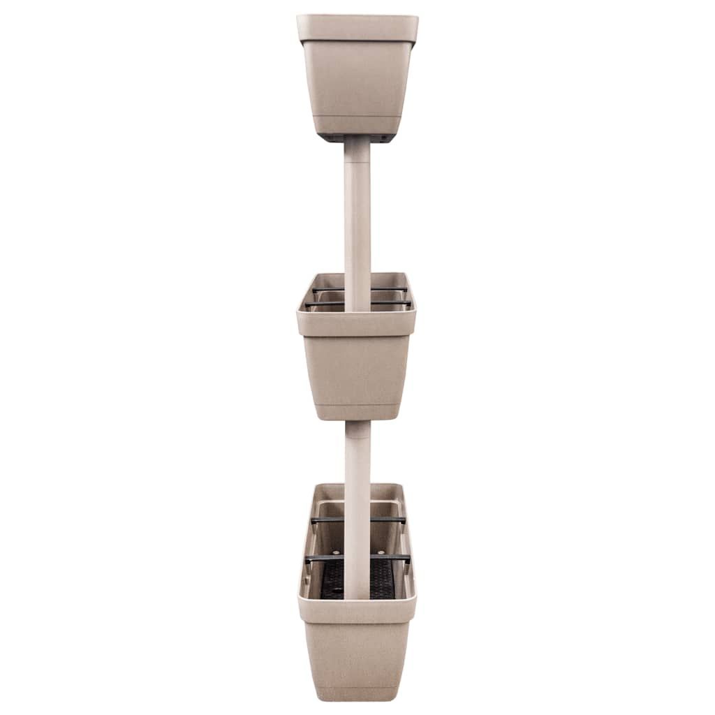 Pflanzkübel 6-tlg. 100 cm Taupe