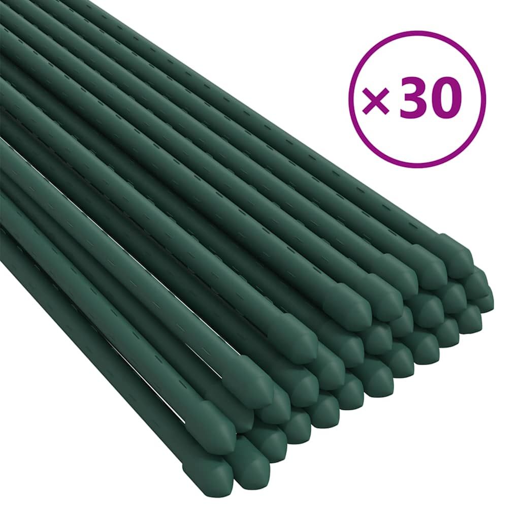 Pflanzenstützen 30 Stk. Grün 150 cm Stahl