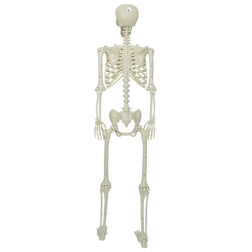 Halloween Skelett Weiß 155 x 38,5 cm Polypropylen