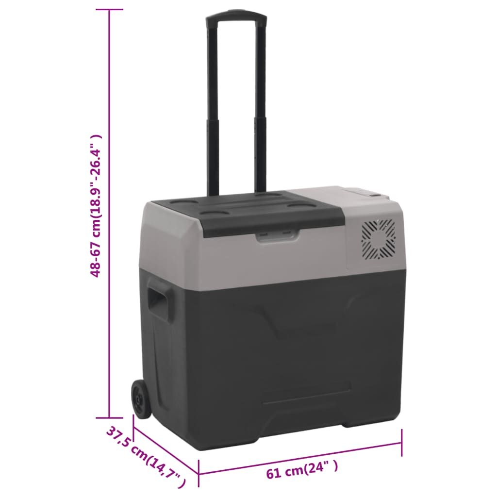 Kühlbox mit Rollen und Adapter Schwarz & Grau 40 L Polypropylen