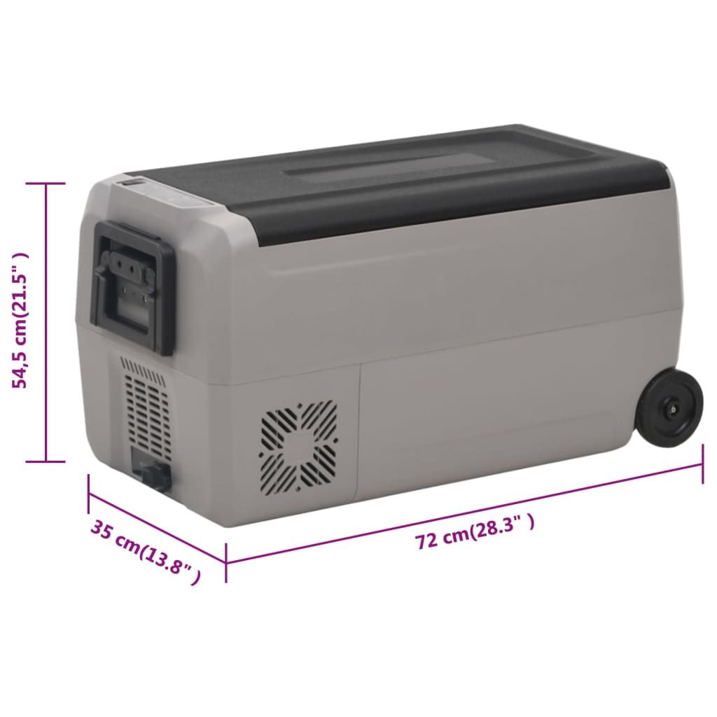 Kühlbox mit Rollen und Adapter Schwarz & Grau 60 L PP & PE