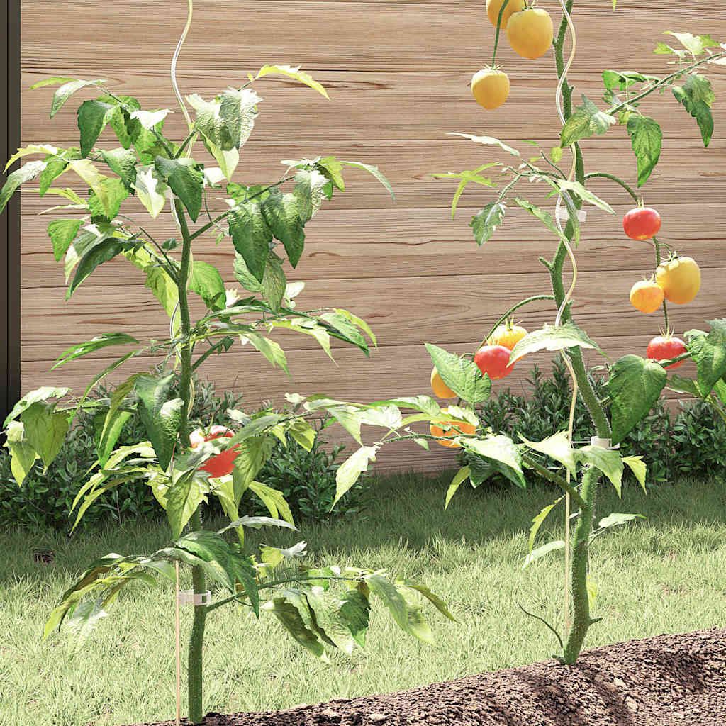 Tomaten-Spiralstäbe 5 Stk. 170 cm Verzinkter Stahl