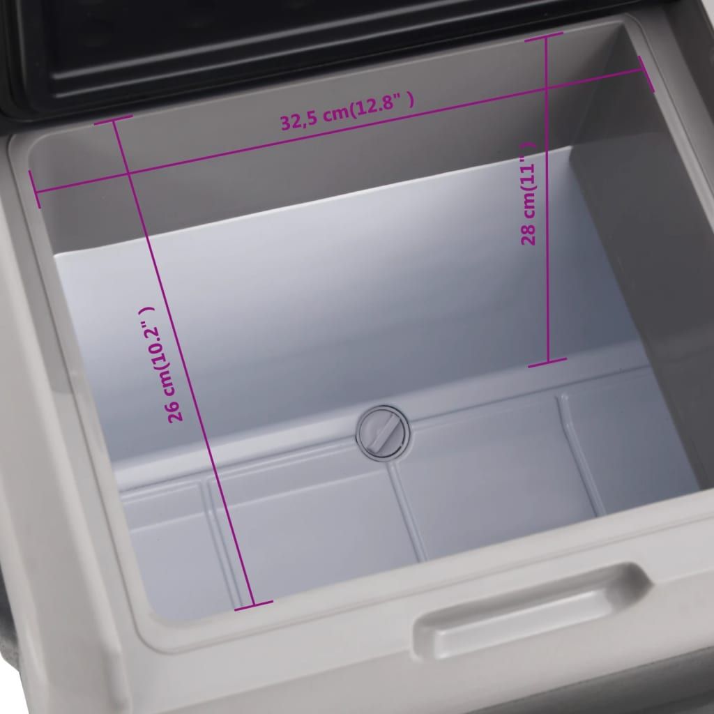 Kühlbox mit Rollen und Adapter Schwarz & Grau 30 L Polypropylen