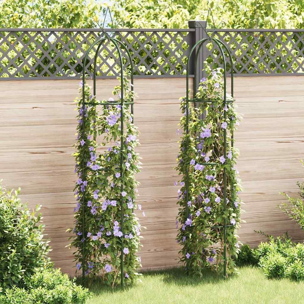 Garten-Ranktürme 2 Stk.