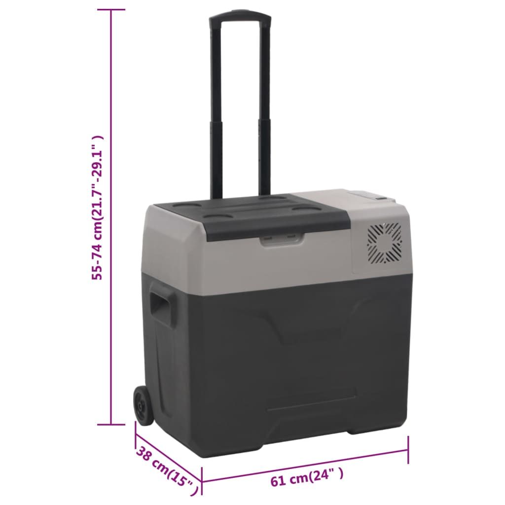 Kühlbox mit Rollen und Griff Schwarz & Grau 50 L Polypropylen