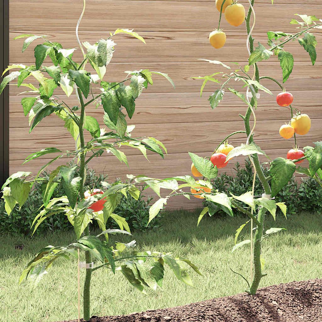 Tomaten-Spiralstäbe 5 Stk. 110 cm Verzinkter Stahl